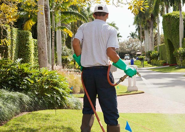 About Sunspot NM Pest Control